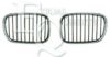 EQUAL QUALITY G0521 Radiator Grille